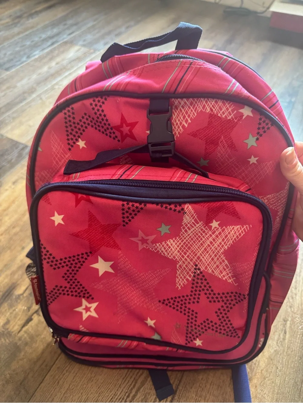 American Girl Backpack and Lunch Bag 16” by 12”